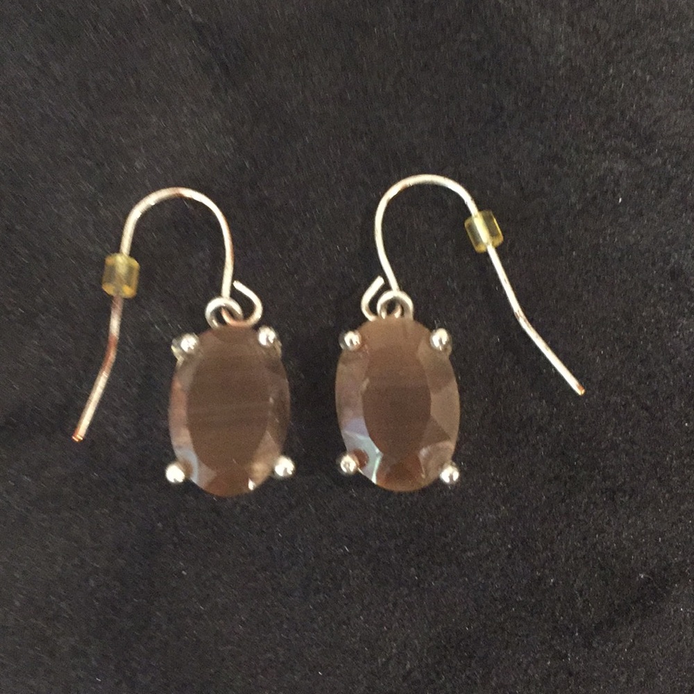 Silver French Hook Earrings with Brown Inset